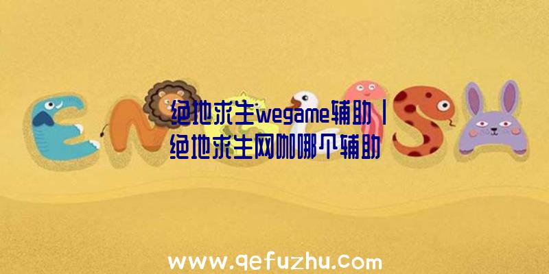 「绝地求生wegame辅助」|绝地求生网咖哪个辅助